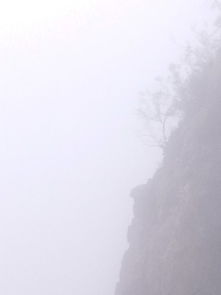 2015年9月5日 雨中登观音山