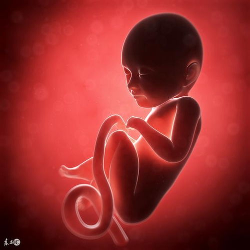 女子堕胎后再未怀孕,算命先生说 自作孽,不可活