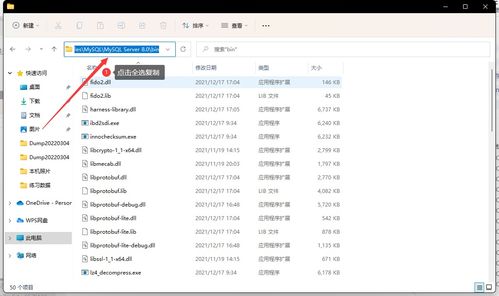 win10怎么设置内部网址