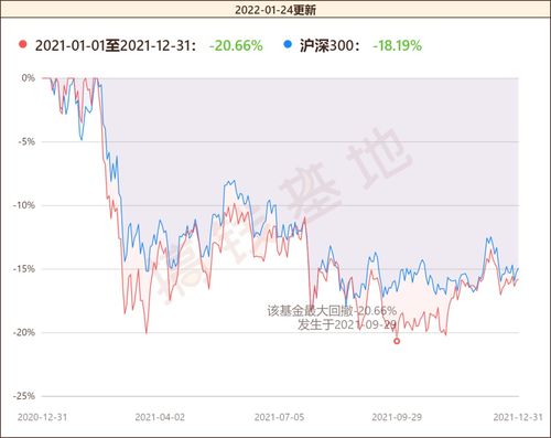 想定投，交银成长和嘉实增长哪个好？请具体说明。