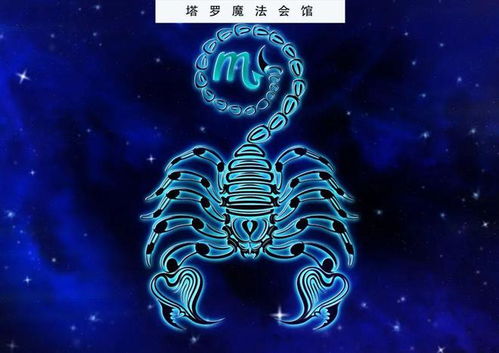 今年结婚运最旺的四大星座 I 塔罗魔法会馆