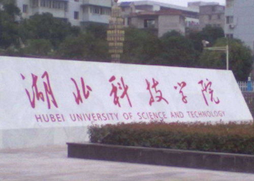 武汉科技大学大学自学考试专升本报名官网是什么？怎么报名(图1)