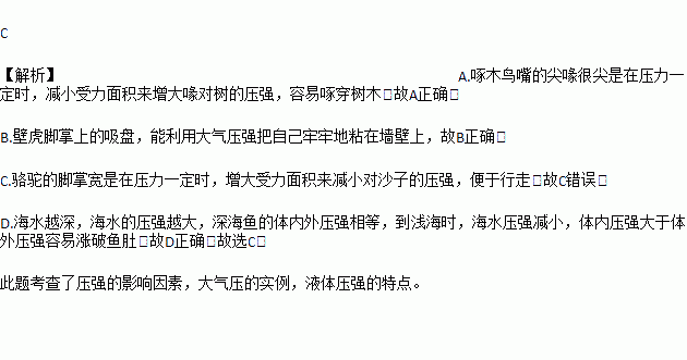 动物的生理结构是它适应自然.长期进化的结果.这一生理结构特点为它的生存起到了重要作用.下列实例用物理知识来解释不正确的是 A. 啄木鸟嘴的尖喙能够让它在啄木时对树木产生很大的压强 