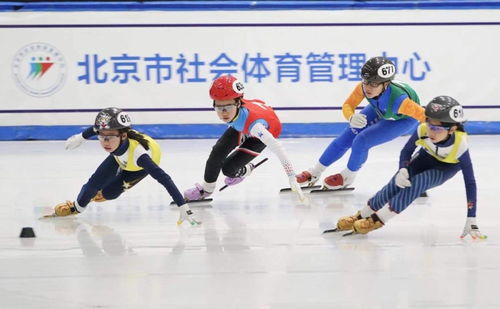 北京青少年短道速滑混合接力赛采用冬奥会规则 80名小选手参赛