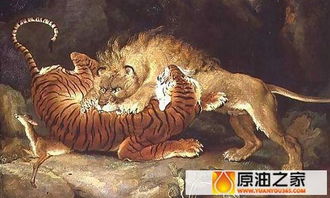亚洲老虎与非洲狮子到底谁才是兽中之王