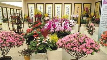 西安花卉市场排名前十名 西安市花卉市场位于长安区的有哪些比较好的大花卉市场