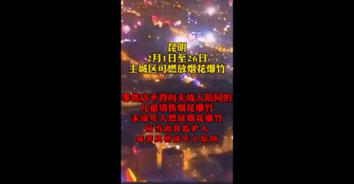 率先解禁,这个城市春节期间可放烟花爆竹 宾阳会否推广