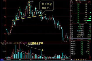 股票成交量怎么看图解-图2