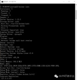 win10下安装docker不运行