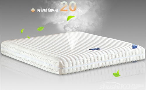 天然乳胶床垫 解析天然乳胶床垫的特点