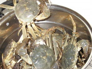 买来活螃蟹暂时不吃怎样保存，螃蟹暂时不吃怎么保存