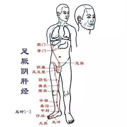 六经辨证中顺序 太阳 阳明 少阳 太阴 少阴 厥阴 