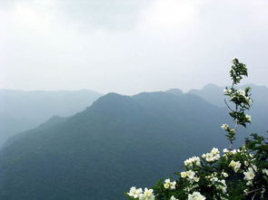 大洪山 大洪山图片 