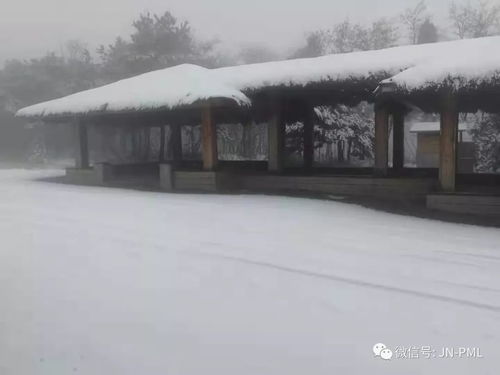 雪是 冬天 霸道总裁的出场方式