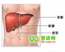 胆淤症 肝内胆汁淤积症的症状