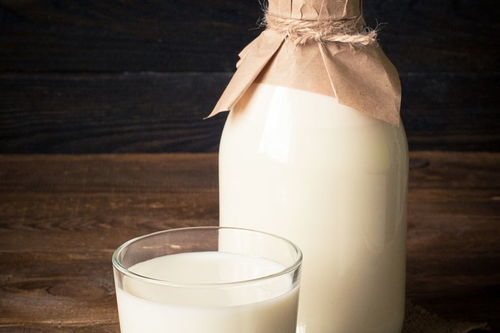 孕妇喝牛奶是喝鲜奶好还是奶粉好 