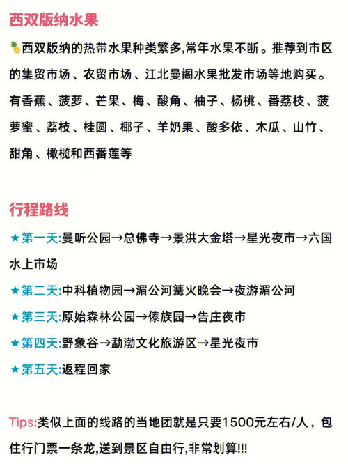 去了趟西双版纳被坑的太惨了 一整个大崩溃 