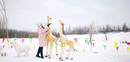 走,周末滑雪去 到喀什冰山滑雪场约约约