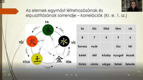 匈牙利罗兰大学孔子学院举办 中国古代占星术 线上讲座