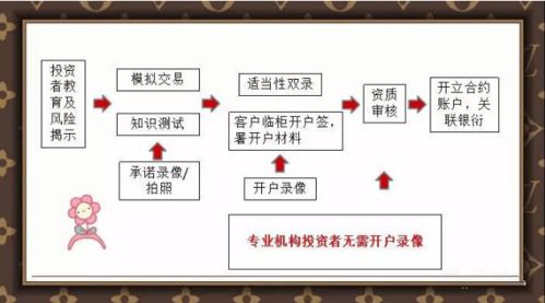 投资者开设股票期权账户需要提交哪些资料