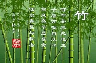 有叠词的关于竹的诗句
