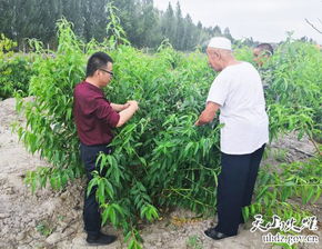 当好新时代的答卷人 乌鲁木齐高新区 新市区 2019年 访惠聚 驻社区 村 工作队创新方式做好群众工作系列报道之二十八