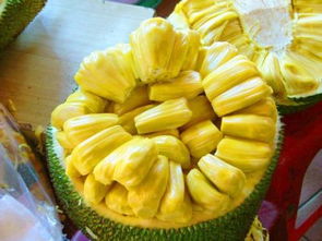 菠萝一年四季都有吗上市季节是哪几个月,菠萝啥时候应季？