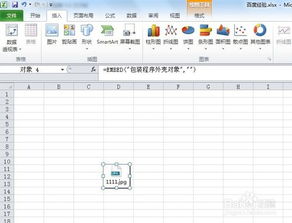 2010版excel表格中怎么以图标格式插入图片 