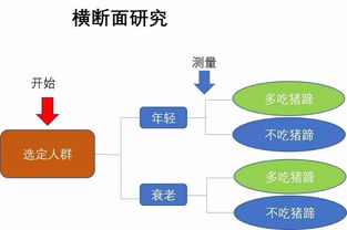 从吃猪蹄抗衰老聊聊临床科研的思路