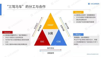 HR六大模块的介绍(人力资源六大模块内容分别是什么)