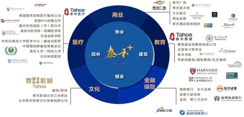 超星查重高背后的原因及应对策略