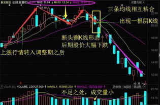 为什么：主买量小于主卖量，股价还上升？