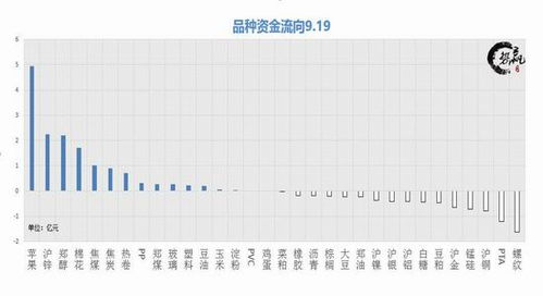 基金定投是怎么回事啊，风险大吗