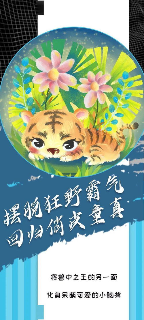 猛虎 萌虎,新年运势虎起来 