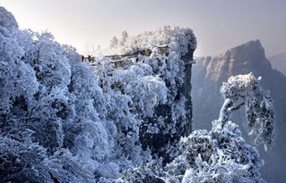 张家界旅游雪景好看吗 下雪天好玩吗