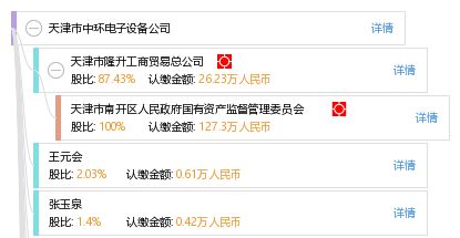 仪表集团  与  天津市中环电子信息集团有限公司有什么关系