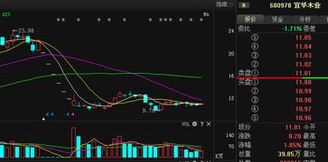 600978宜华木业股票今天下午最多落到多少钱