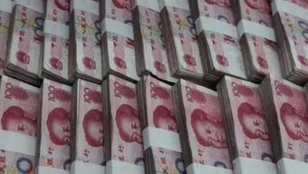 PAI币能投资吗—100个雷达币一天能赚多少