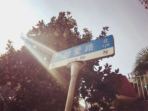 上海最 甜 的马路,你去过吗