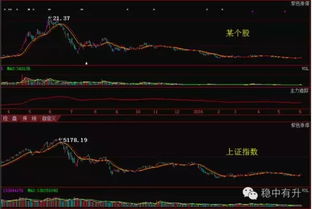 所有的股票是否一定跟大盘走