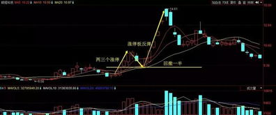 A股20支业绩翻倍股名单 最新热点公布 股民 终于不用再亏了