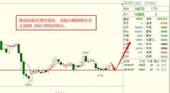 期货夜盘品种日线开盘收盘价怎样计算