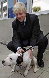 英国首相要拿集万千宠爱的Larry开刀 御猫 一气,狗都会上头