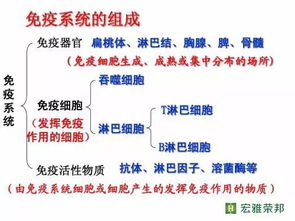 博多癌症检查中心的7种免疫细胞疗法真的只需两周时间吗？