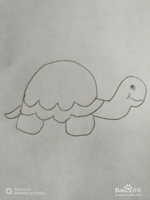 简单的乌龟怎么画 