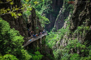 西海大峡谷,黄山上最美的地方