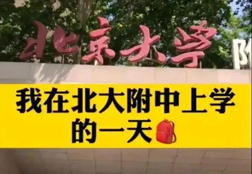 为什么不建议选北大附中呢(为什么北大附中的分数线那么低)