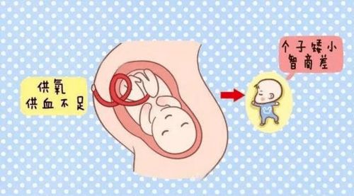 原创科普丨生命早期1000天营养之 孕期如何补铁