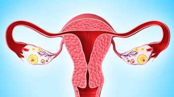 输卵管卵巢炎会影响盆腔环境吗，试管助孕前该怎么调理？