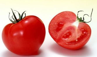 生西红柿可以吃吗 